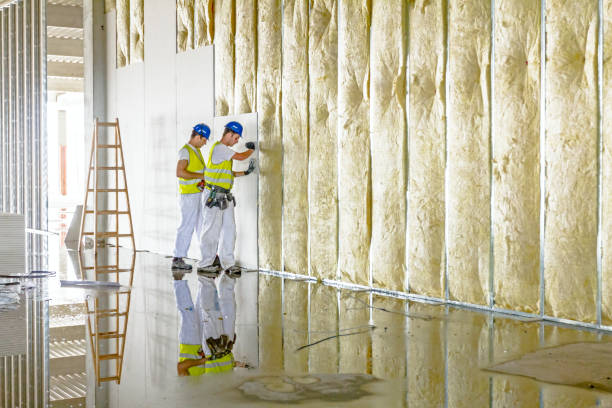 Best Best Insulation Companies  in Latham, NY